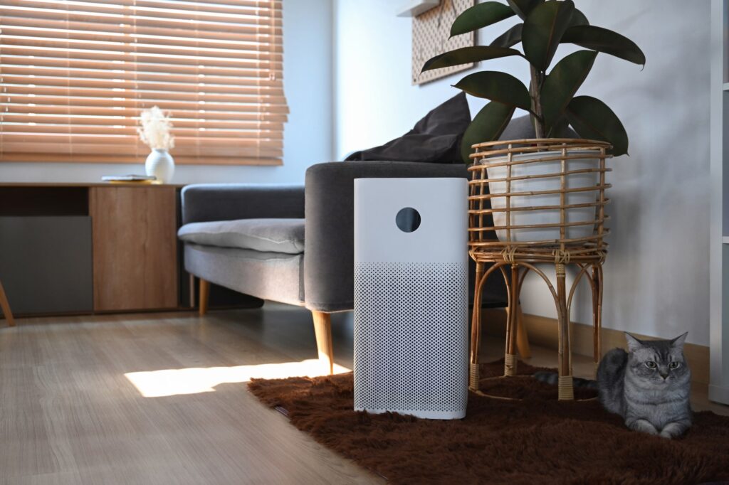 air purifier in living room with a cat near it